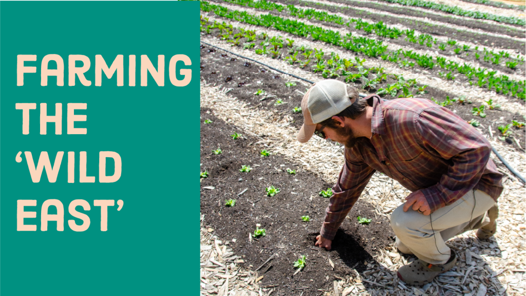 Banner image: Farming the 'Wild East' with a photo of a man examining a row of plants.